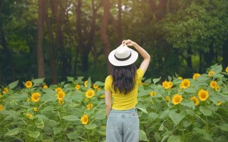 情绪调节药物，从科学到实践的全方位解析