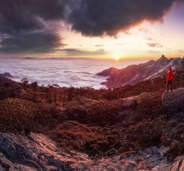 社交恐惧症，是时候揭开你心中的迷雾了吗？