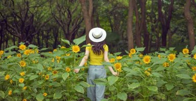 厌学科，情感世界的隐形杀手