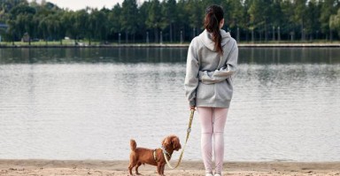 当婚姻遭遇背叛，如何从嫖娼的阴影中重建信任