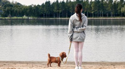 从社交恐惧到自信满满，战胜内心的小怪兽